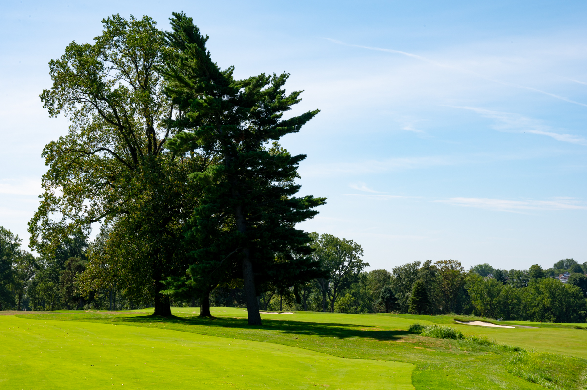 Cobbs Creek Olde Course MZ6 _9447