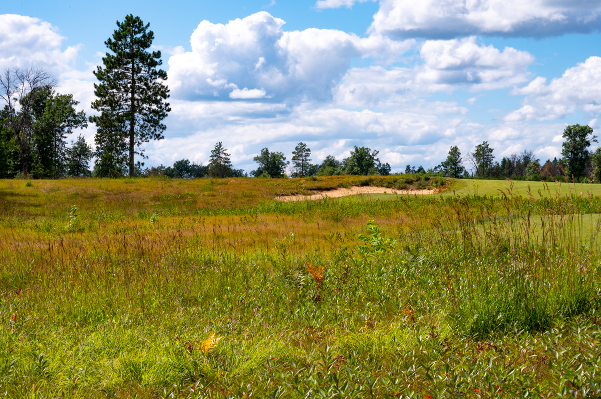 Forest Dunes Loop Black Bahn 10-18 MZ6 _8282
