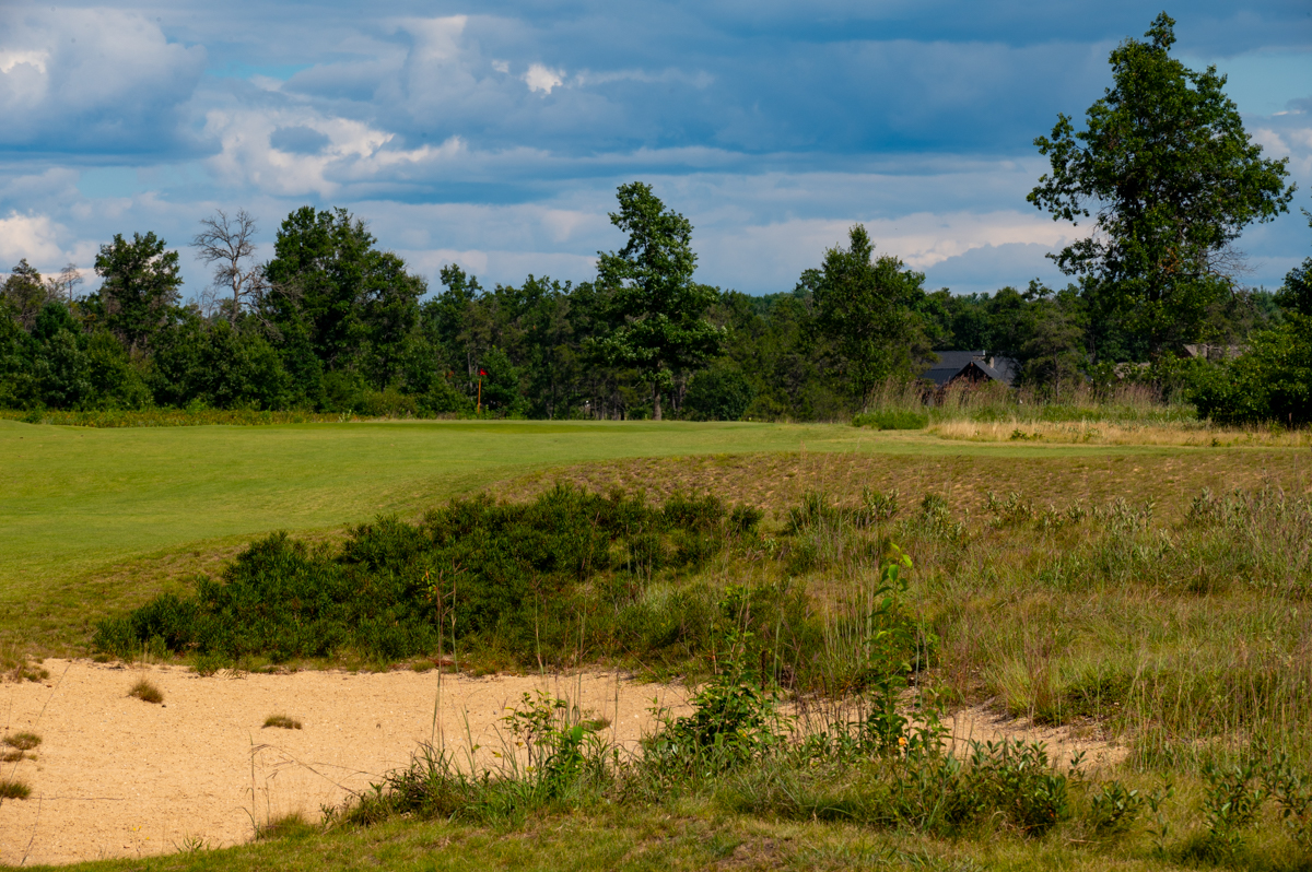 Forest Dunes Loop Black Bahn 10-18 MZ6 _8325