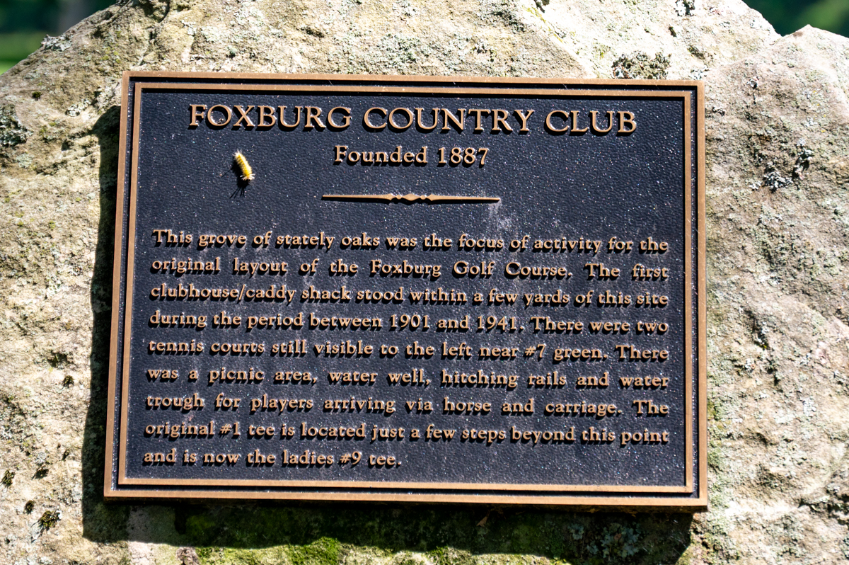 Foxburg CC Fotos MZ6 _8428